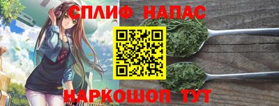 спайс Ачхой-Мартан