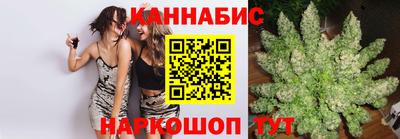 спайс Ачхой-Мартан