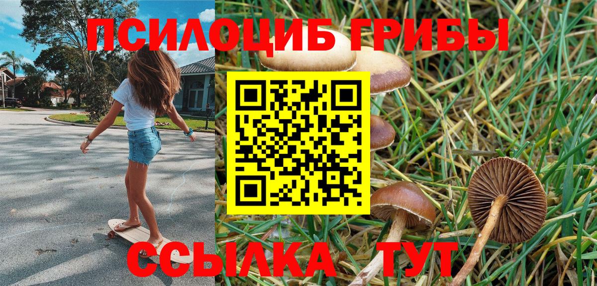 Галлюциногенные грибы прущие грибы  Псилоцибиновые грибы Psilocybe  купить  цена  Вход с VPN  Знаменск 